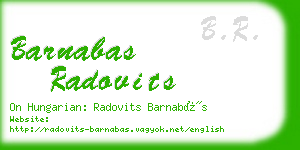 barnabas radovits business card